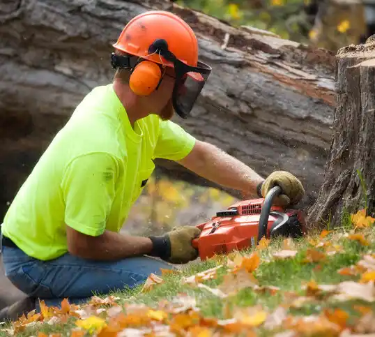 tree services Velda Village Hills